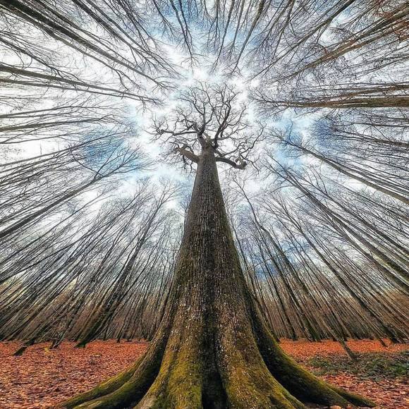 Meet your Posher, Jen - Picture 1 of 1